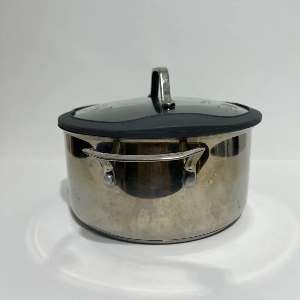 Princess House 5 Qt Stainless Steel Saucepan With Glass Lid & Pour Spouts